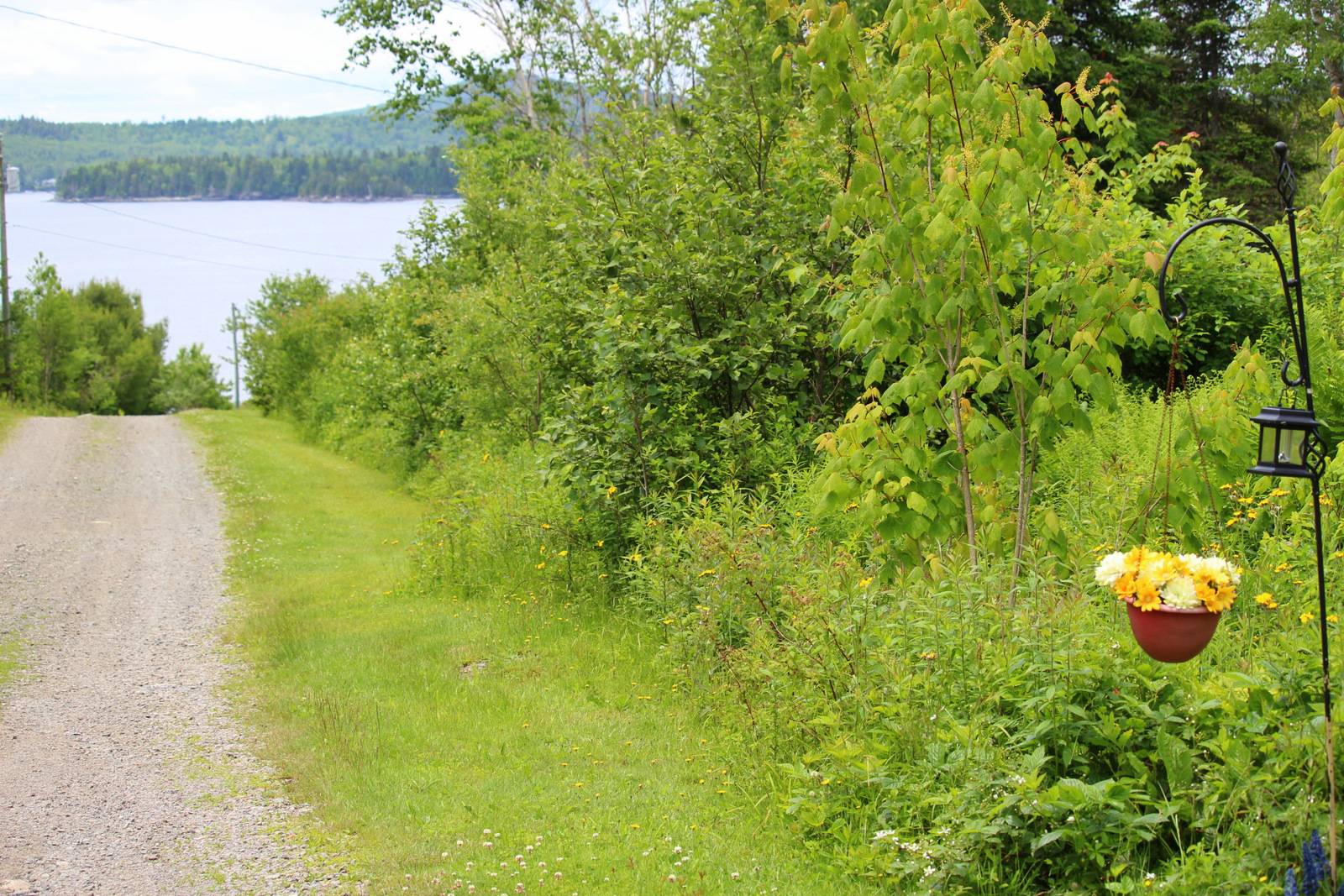 IMG_7061 Cindy Kohler