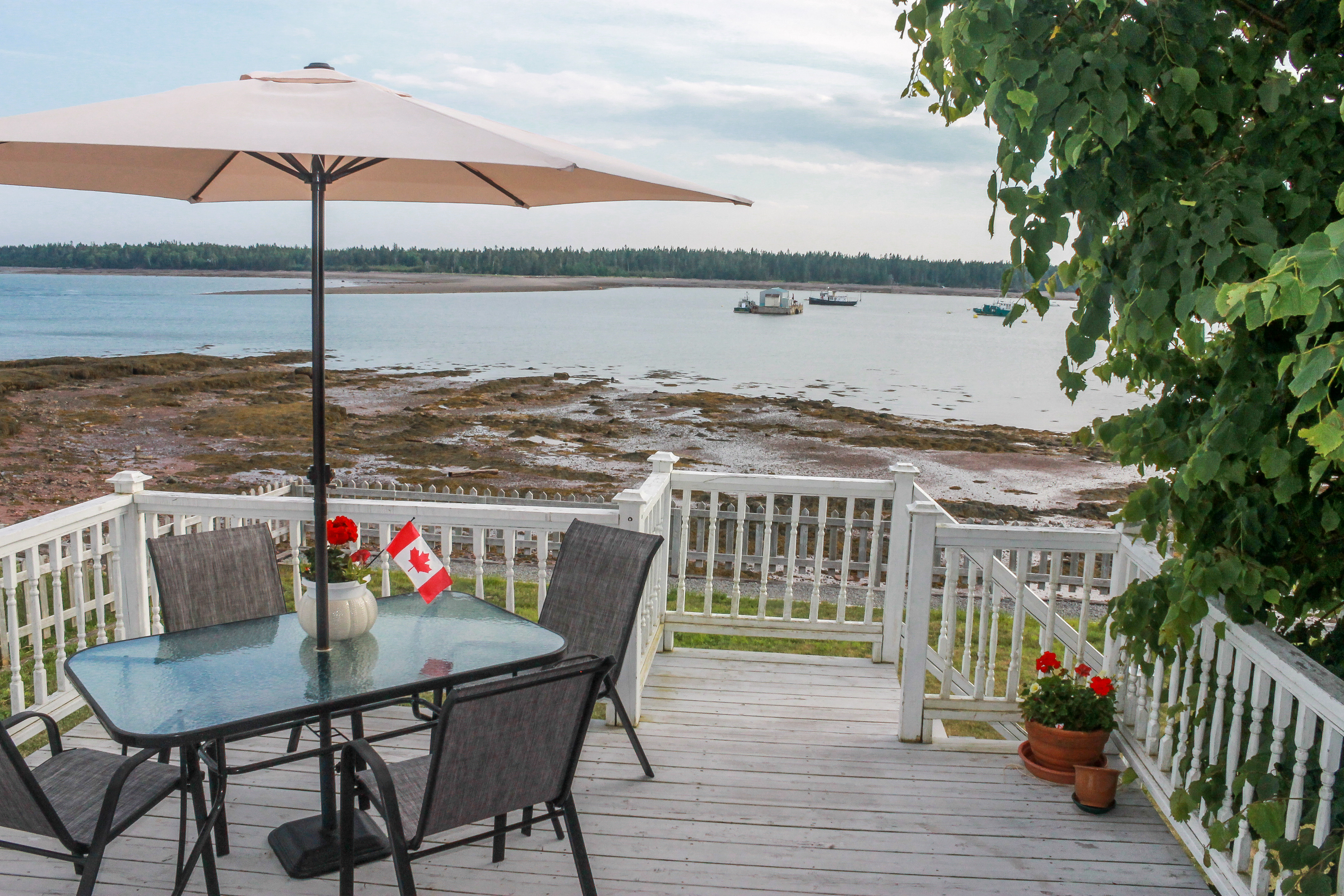 IMG_4698 Cindy Kohler