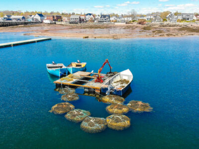 DJI_0406