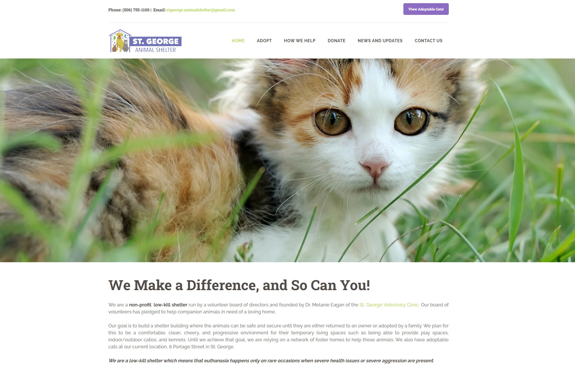 St. George Animal Shelter